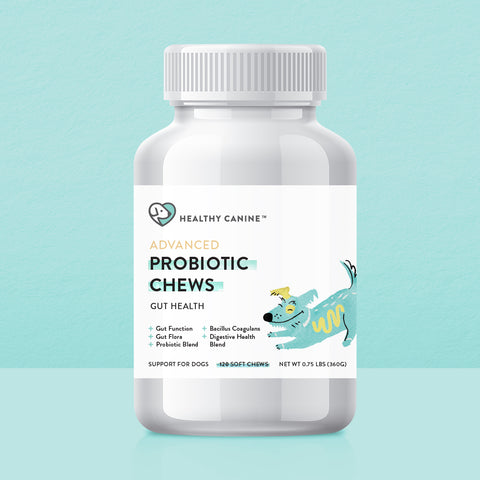 Probiotic Chews